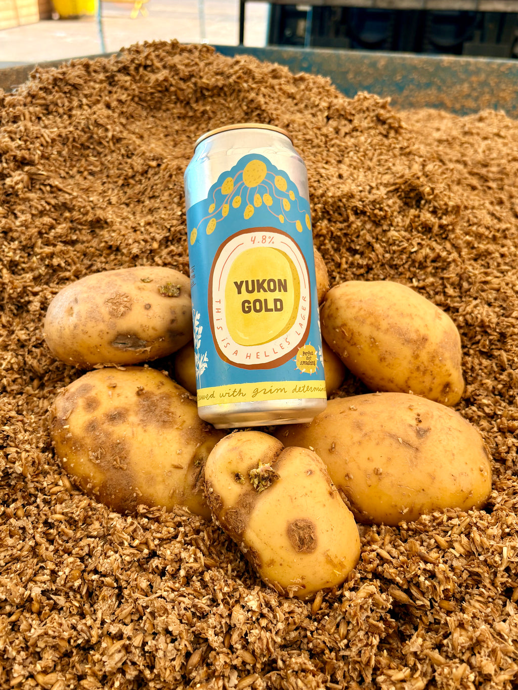Yukon Gold - 4.8% Helles