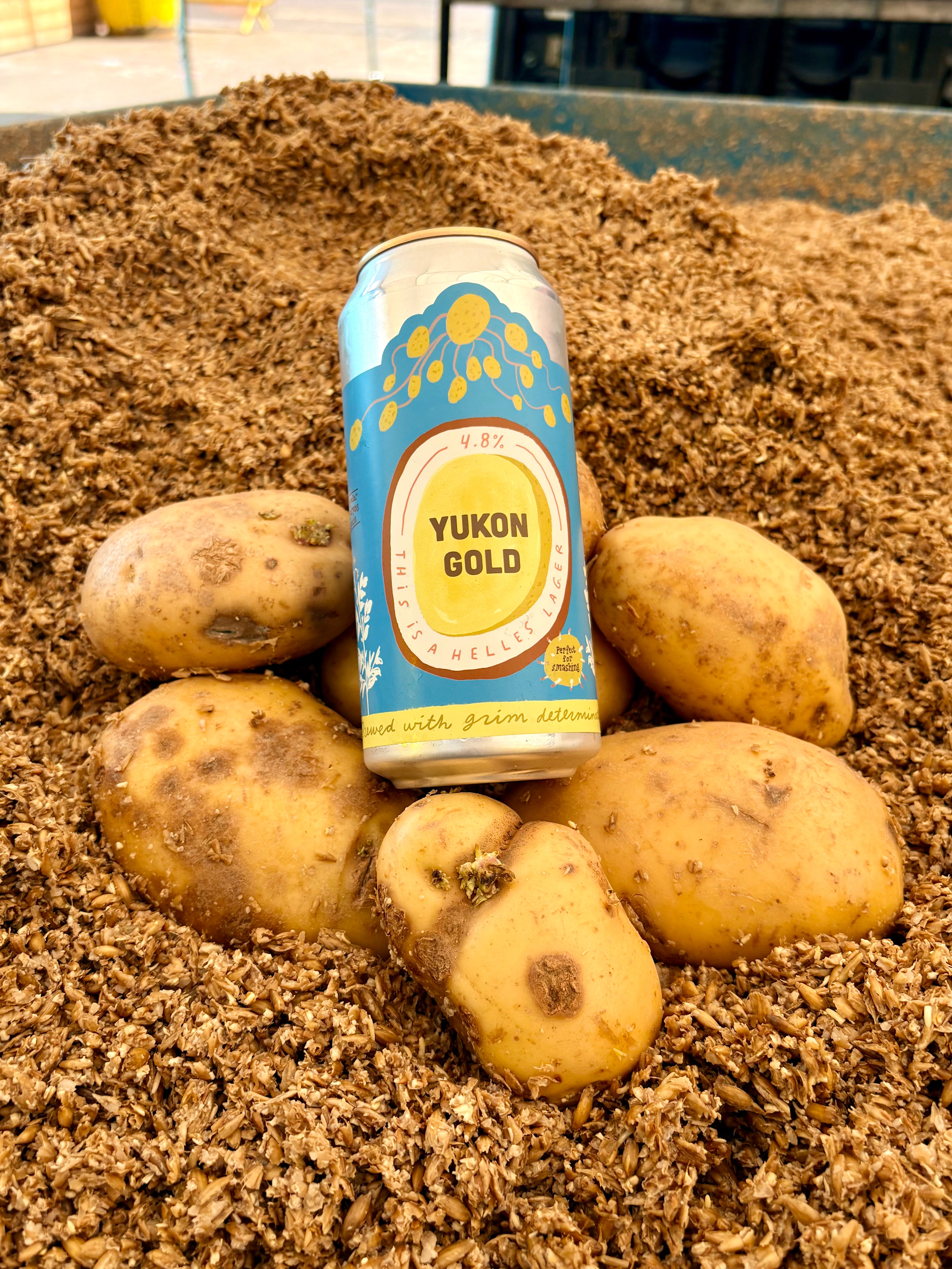 Yukon Gold - 4.8% Helles
