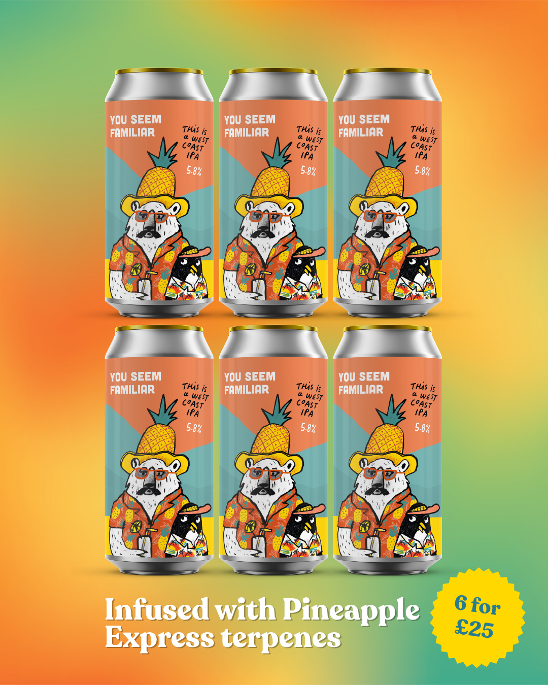 You Seem Familiar 6-Pack