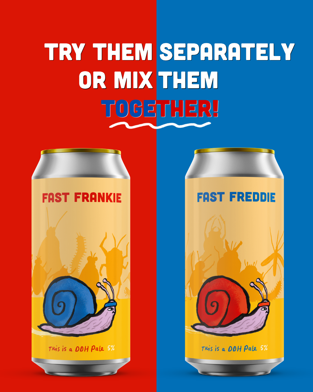 Mollusc Mixed Pack - 6 cans
